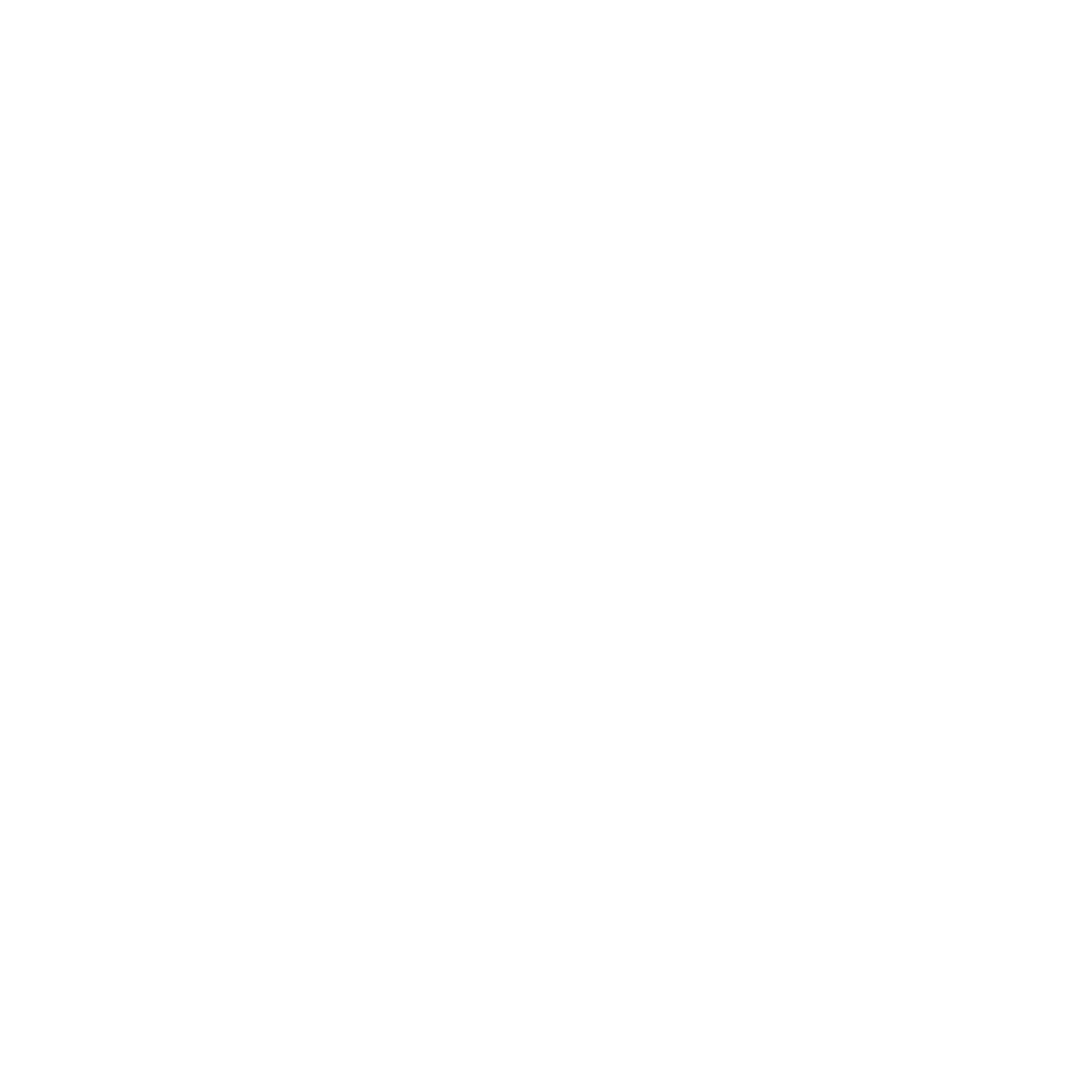 6 expertos